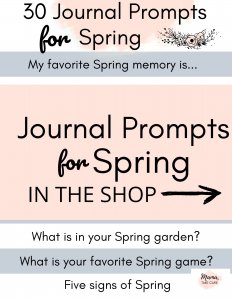 Journal Prompts for Spring