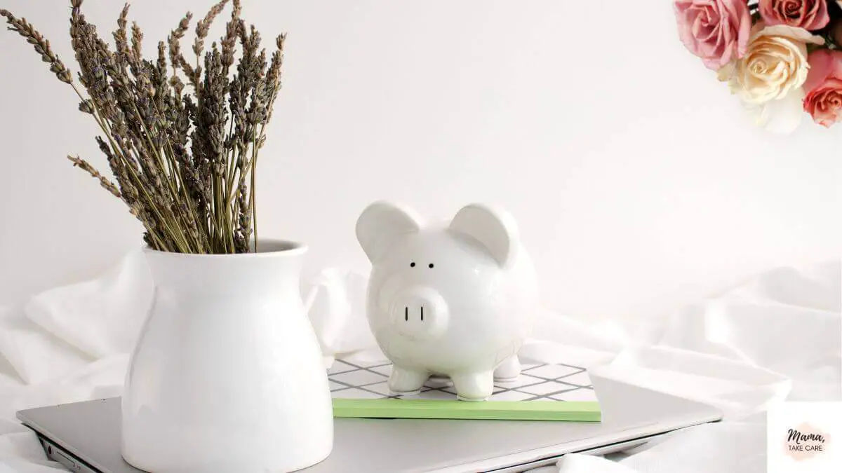 Budget self-care: white vase with greenery, white piggy bank on laptop